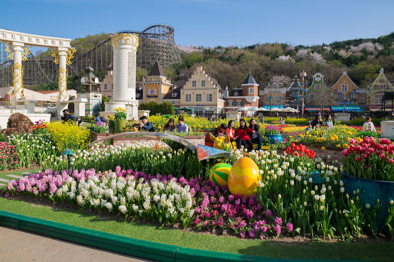 HÀN QUỐC - SEOUL - NAMI - EVERLAND