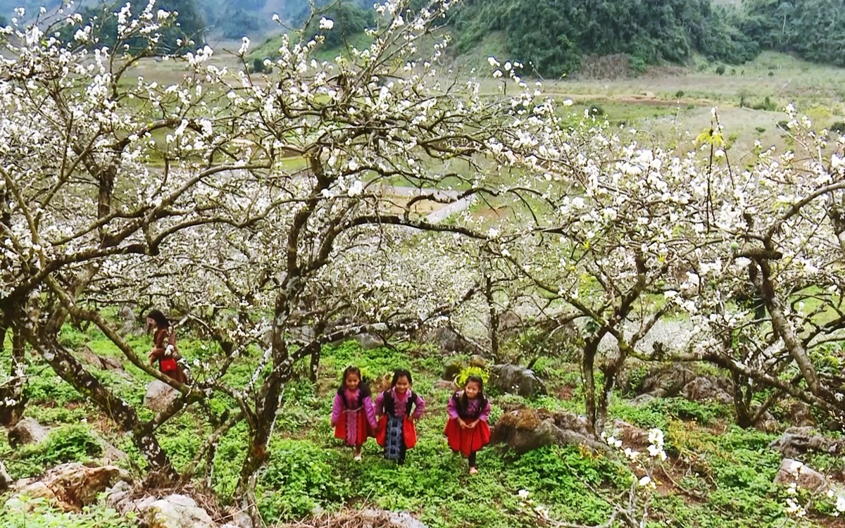 HÀ NỘI – SAPA – ĐIỆN BIÊN – MỘC CHÂU- MAI CHÂU