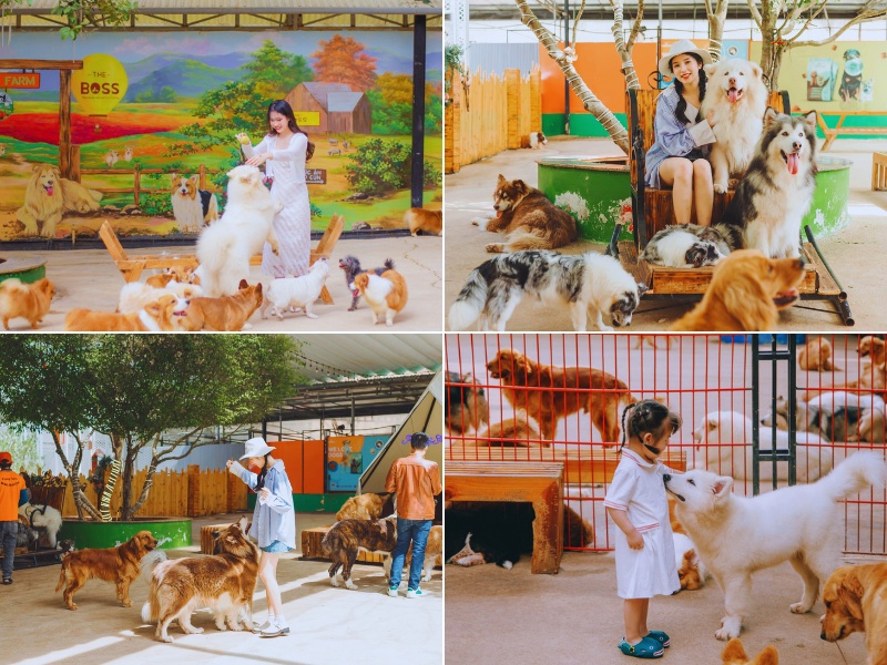 ĐÀ LẠT- Thành Phố Hoa 